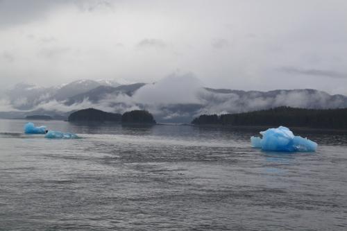 Alaskandream - Tracy arm view