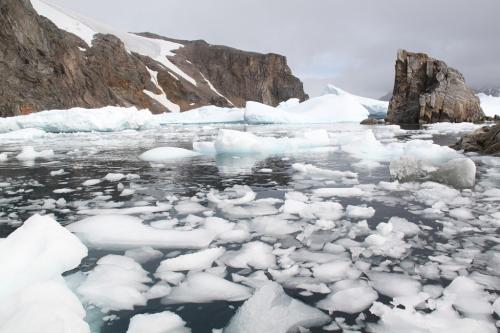 Antarctica - Ice cubes