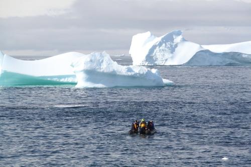 Antarctica - Zodiac
