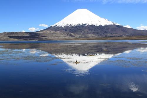 Atacama - Mirror Parinacota vulkaan
