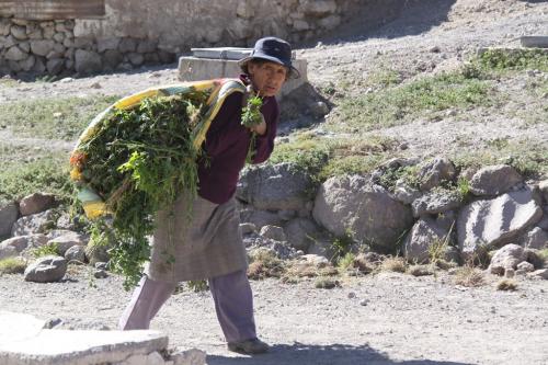 Atacama - Worker