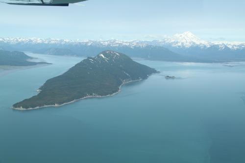 Bearcamp - Island view