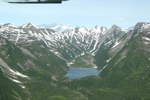 Bearcamp - flight view