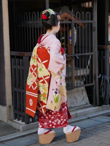 Geiko 1