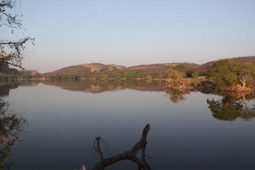 India - Lake Ranthambore NP