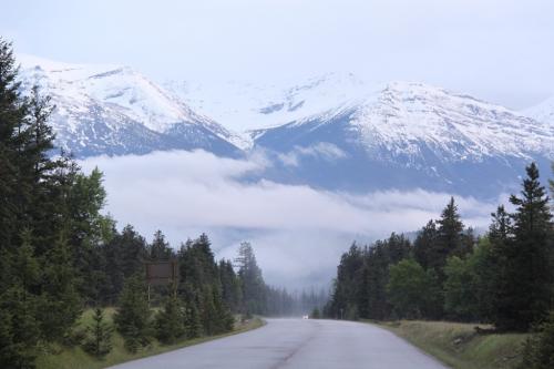Jasper - Icefields parkway