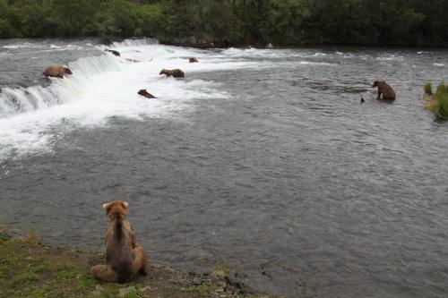 Katmai - good overview