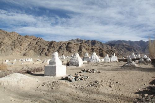 Ladakh - Shey & Stupas