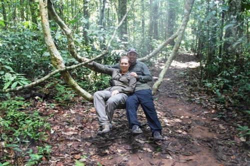Mato Grosso - Amazone jungle