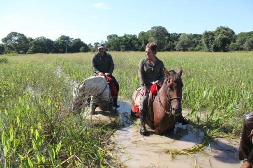 Mato Grosso - Horse riding Pantanal