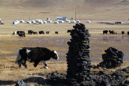 Mongolia - Sukta & Yak