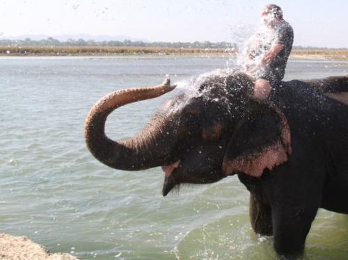 Nepal - Power of shower feature foto