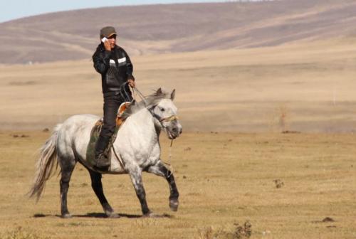 Nomaden - Mongool met GSM te paard