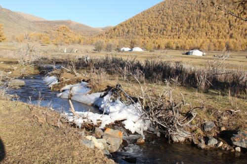 Nomaden - desolate omgeving