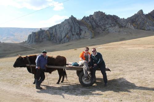 Nomaden - kar met yak