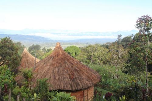 PNG - Ambua wilderness lodge