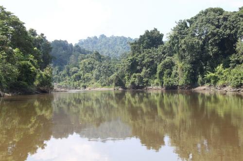 PNG - Arafundi river