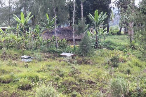 PNG - huizen