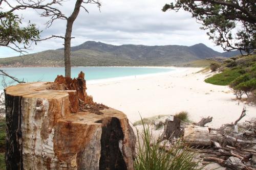 TAS - Wineglass bay beach