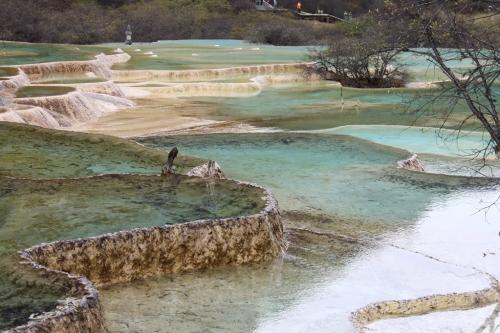 Tibet - pond Huanglong