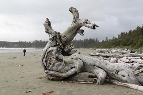 Vancouver Island - Tofino beaches