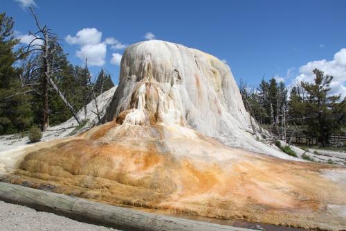 Yellowstone - Norris Geyse
