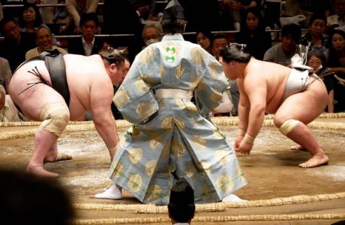 sumo featurefoto