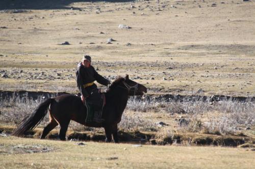 Terhiin Tsagaan nuur Nomaden family (39)
