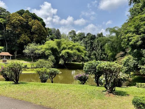 botanical-garden
